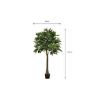 Artificial plant Pachira Green by Mica Decorations