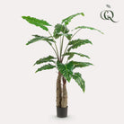 Art plant - Alocasia - Elephants ear - 150 cm by Green boutiQ