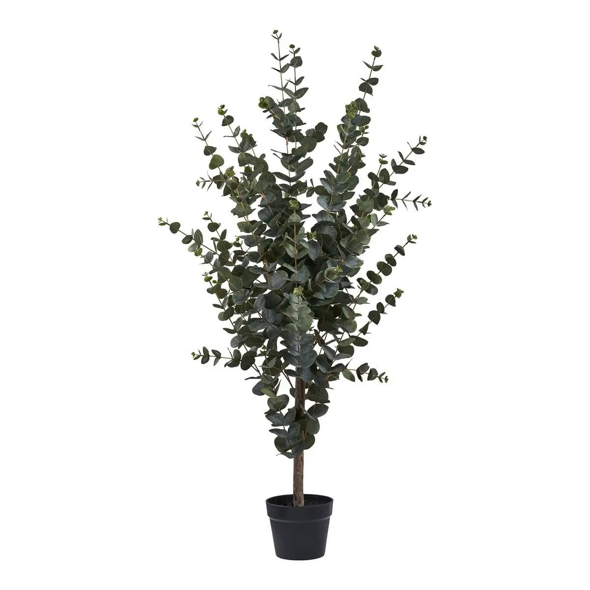 Eucalyptus Tree - Green, PE Plastic, Polyester, Wire, Cement, 120cm by EMIRELLE