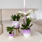 Kolibri Home | Coral - Lilac - Ø9cm by Kolibri Company