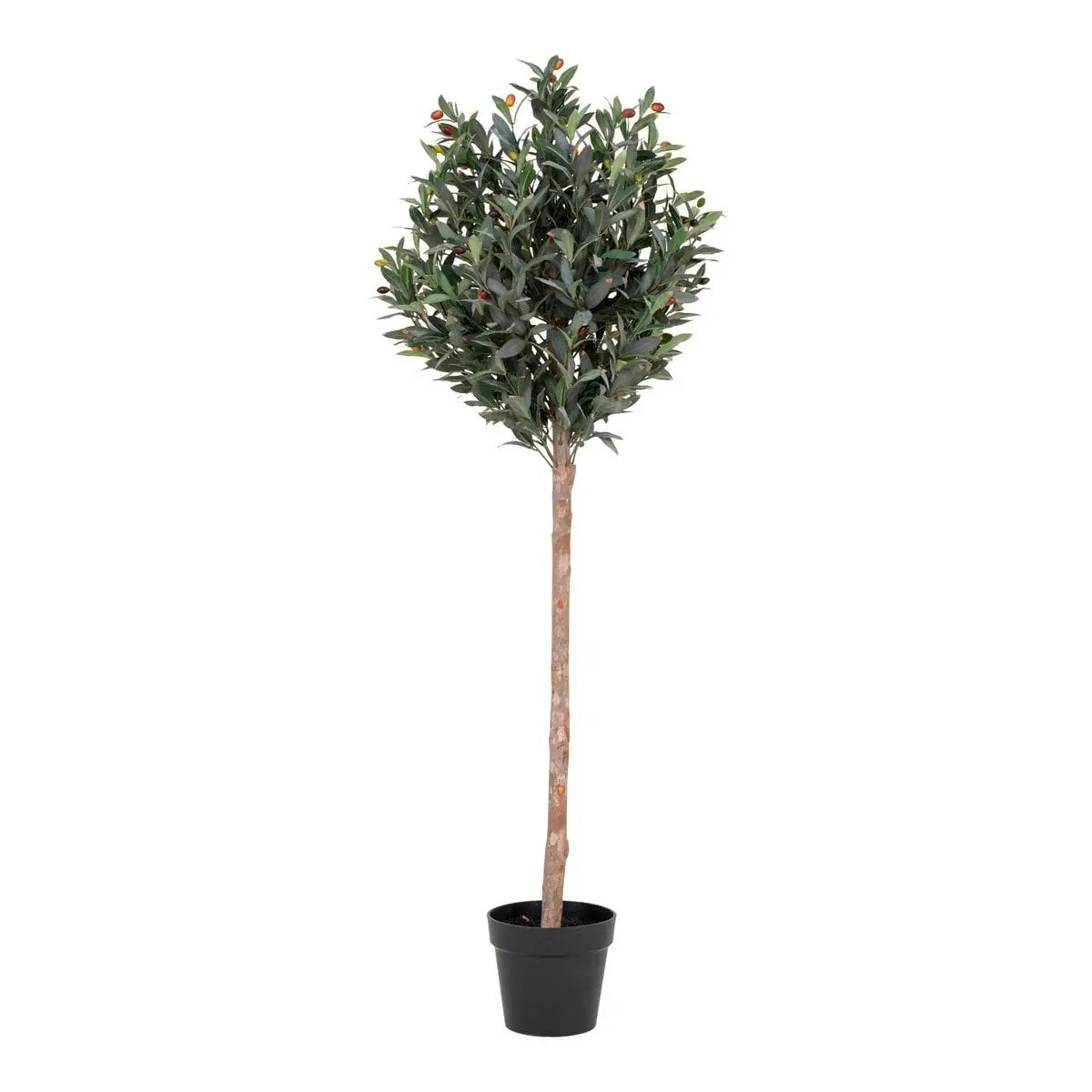 Olive Tree - Green, PE Plastic/Polyester, 58x58x150 cm by EMIRELLE