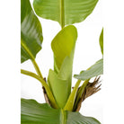 Artificial plant Green by Mica Decorations