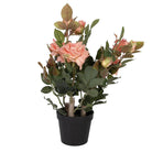 Künstliche Pflanze Rose 20x20x55 cm rosa Kunststoff von Clayre & Eef.