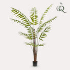 Art Plant - Rumohra Adiantiformis - The Leader Varge - 180 cm by Green boutiQ