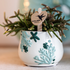 Kolibri Home | Coral - Blue - Ø6cm by Kolibri Company