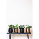 Artificial plants - Monstera Monkey - Hole plant - 29 cm by Green boutiQ