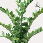 Artificial plant - Zamioculcas - City palm - 110 cm by Green boutiQ