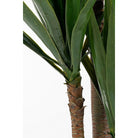 Kunstplant Yucca Cream by Mica Decorations