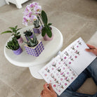 Hummingbird Home | Candy decorative pot - Lilac - Ø6cm by Kolibri Company