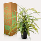 Kunstpflanze – Nephrolepis Exaltata – Bostonfarn – 70 cm von Green boutiQ