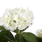 Artificial plant Hydrangea White by Mica Decorations