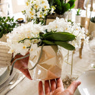 Hummingbird Orchids | White orchid 'Nazaré' + Pearl jewelry pot Travertine - pot size Ø9cm | blooming houseplant - fresh from the grower by Kolibri Company