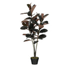 Artificial plant Rubber plant Red by Mica Decorations