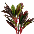 Artificial plant Cordyline Red by Mica Decorations