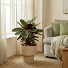 Flowerpot inside Lux Light brown by Mica Decorations