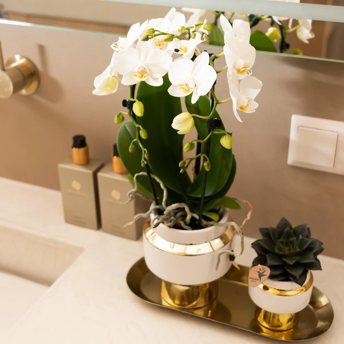 Hummingbird Home | Le Chic flower pot - White ceramic decorative pot with gold details - Ø6cm by Kolibri Company