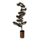 Mini Artificial Christmas Tree 28x28x80 cm / 3xAAA Green Wood by Clayre & Eef.