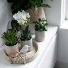 Hummingbird Home | Decorative bowl - White woven tray Ø30cm by Kolibri Company