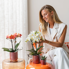 Kolibri Home | Diamond pearl sierpot - Red - Ø6cm by Kolibri Company