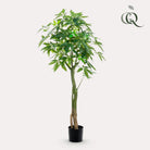 Artificial plant - Pachira Aquatica - Money tree - 150 cm by Green boutiQ