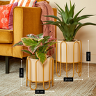 Flowerpot inside Dione Bruin by Mica Decorations
