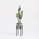 Plant stand Ascot Black by Mica Decorations