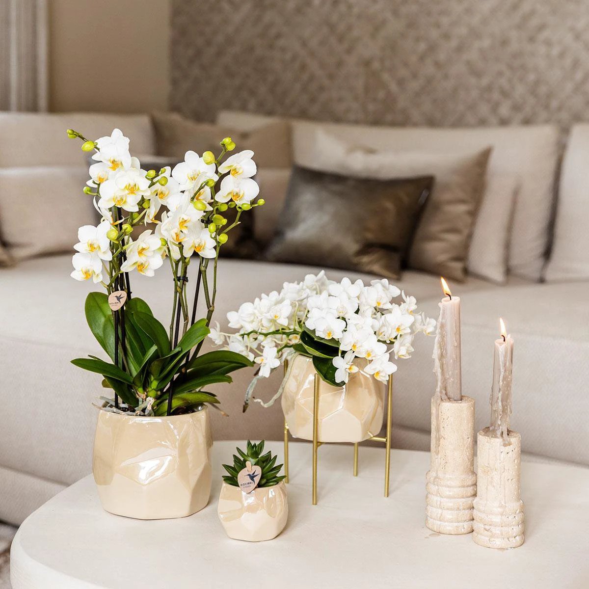 Kolibri Home I Pearl pot - Travertine - Ø12cm by Kolibri Company
