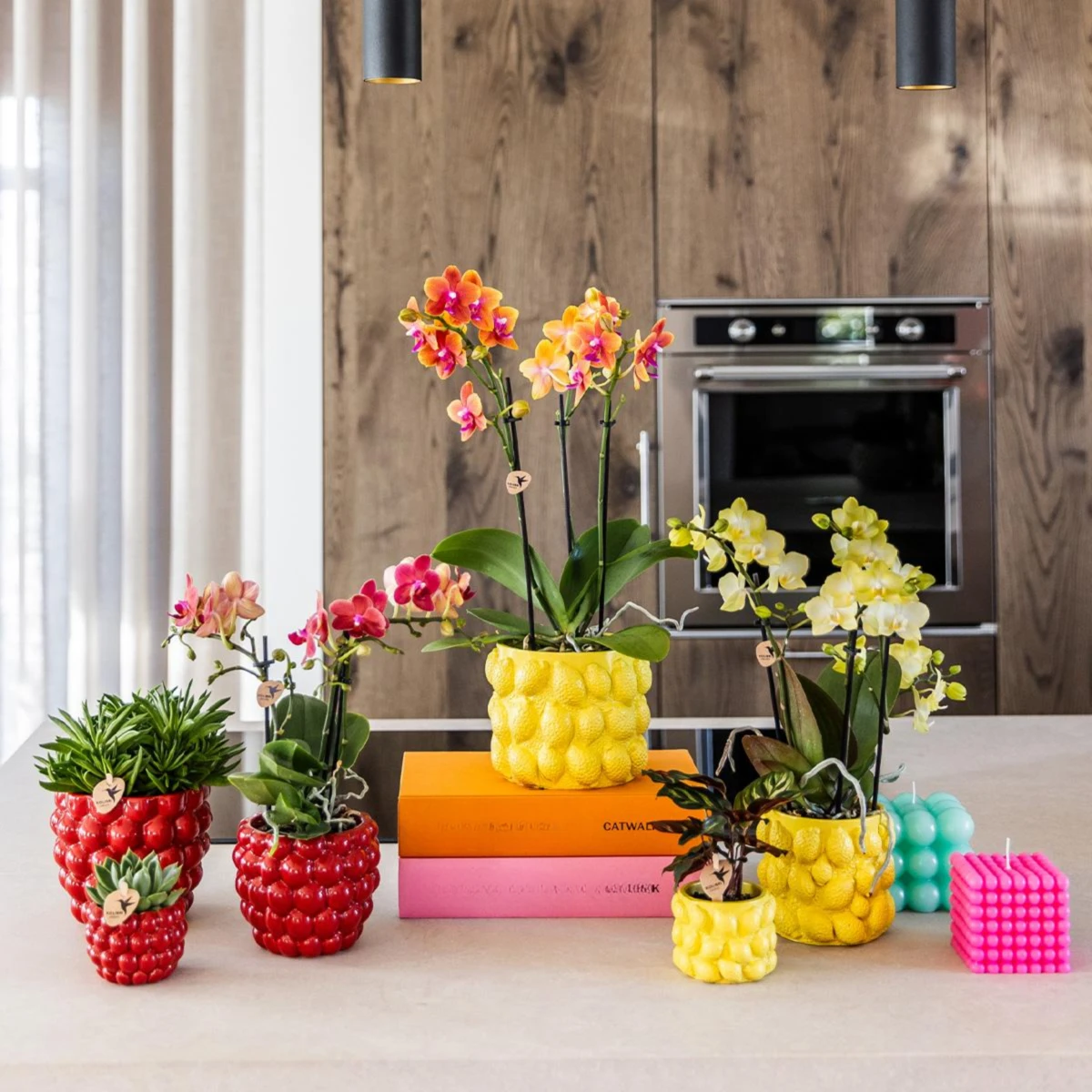 Hummingbird Home | Berry pot - Ø9cm by Kolibri Company