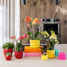 Hummingbird Home | Berry pot - Ø9cm by Kolibri Company