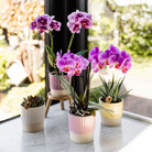 Kolibri Home | Butter sierpot - Yellow by Kolibri Company