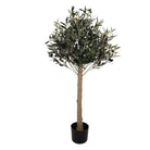 Artificial Olive Tree 45x45x120 cm Green Plastic by Clayre & Eef.