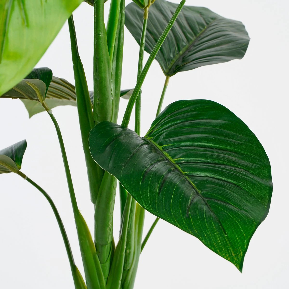 Artificial plant Green by Mica Decorations