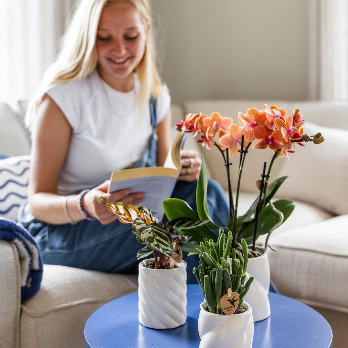 Kolibri Orchids | COMBI DEAL van 4 oranje Phalaenopsis orchideeën - Bolzano - potmaat Ø9cm | bloeiende kamerplant - vers van de kweker by Kolibri Company