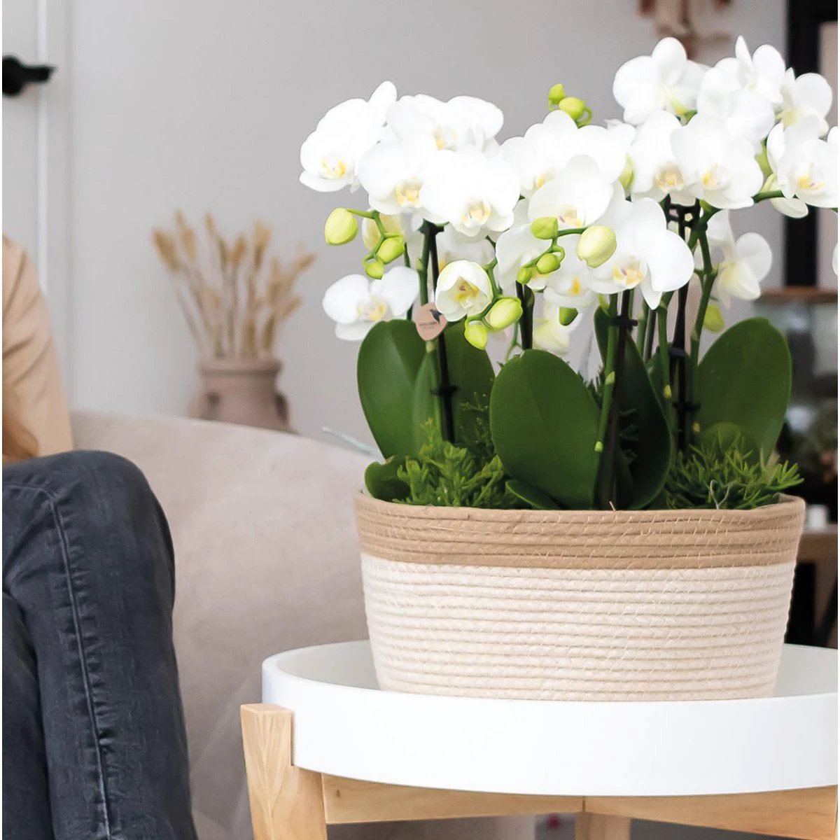 Hummingbird Home | Cotton Basket dish white - Cotton woven dish with white detail - pot size Ø30cm by Kolibri Company