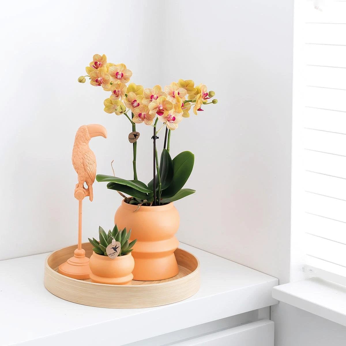 Kolibri Home | Decoration scale - Round even bamboo tray Ø30cm by Kolibri Company