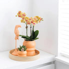 Kolibri Home | Decoration scale - Round even bamboo tray Ø30cm by Kolibri Company