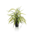 Kunstpflanze – Nephrolepis exaltata – Boston-Farn – 70 cm von Green boutiQ