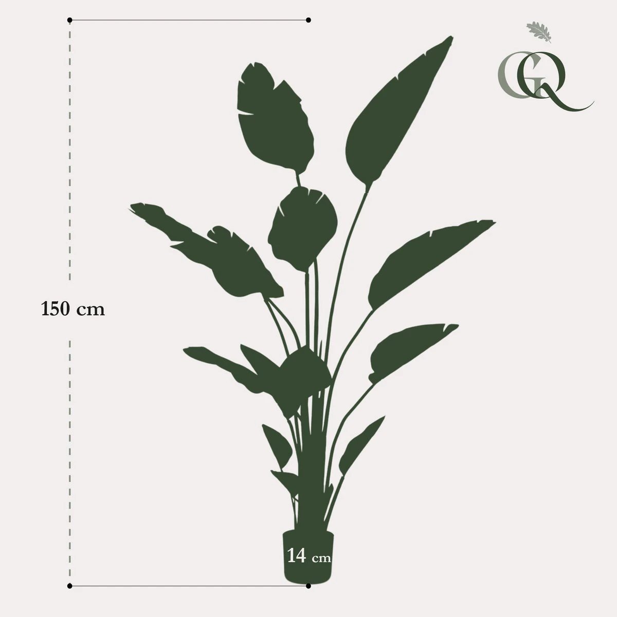 Art plant - Strelitzia Nicolai - Paradise bird flower - 150 cm by Green boutiQ