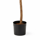 Artificial plant Ficus Green by Mica Decorations