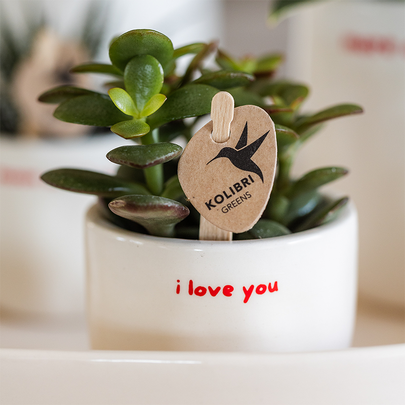 Kolibri Home | I love you sierpot - Ø6cm by Kolibri Company