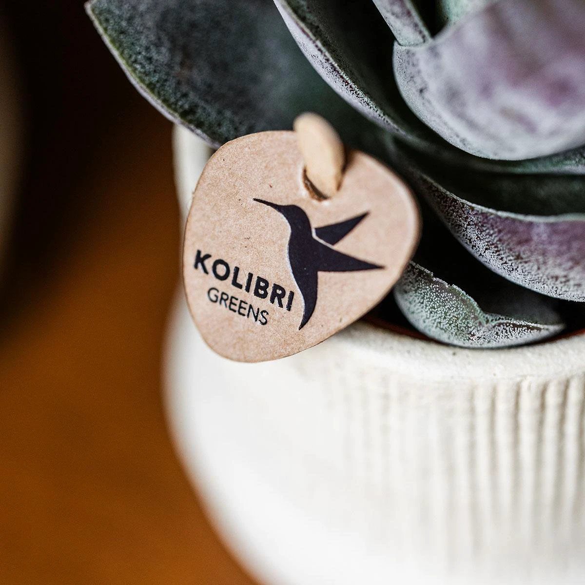 Kolibri Home | Bali sierpot - Off White - Ø9cm by Kolibri Company