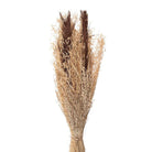 Trockenblumen 18x6x60 cm von Clayre & Eef.