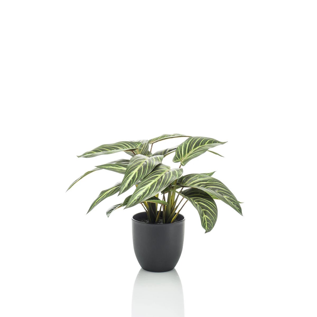 Kunstpflanze – Calathea Zebrina – Schattenpflanze – 38 cm von Green boutiQ