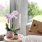 Kolibri Home I Pearl pot - Pink - Ø9cm by Kolibri Company