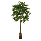 Artificial plant Pachira Green by Mica Decorations