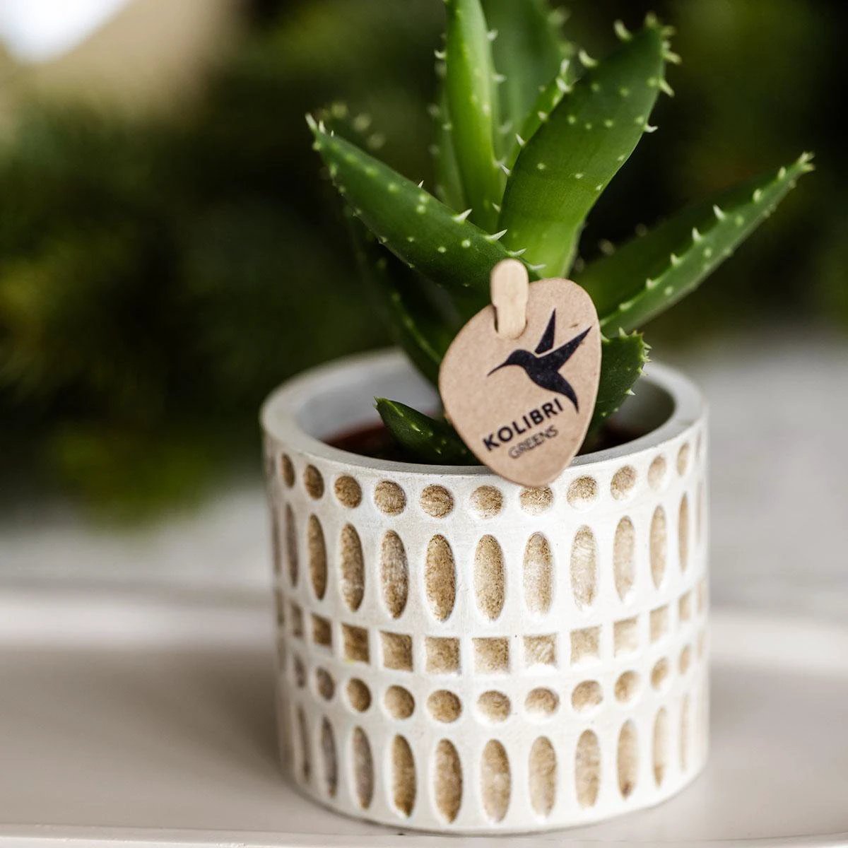 Kolibri Home | Mozaïek sierpot - Ø6cm by Kolibri Company