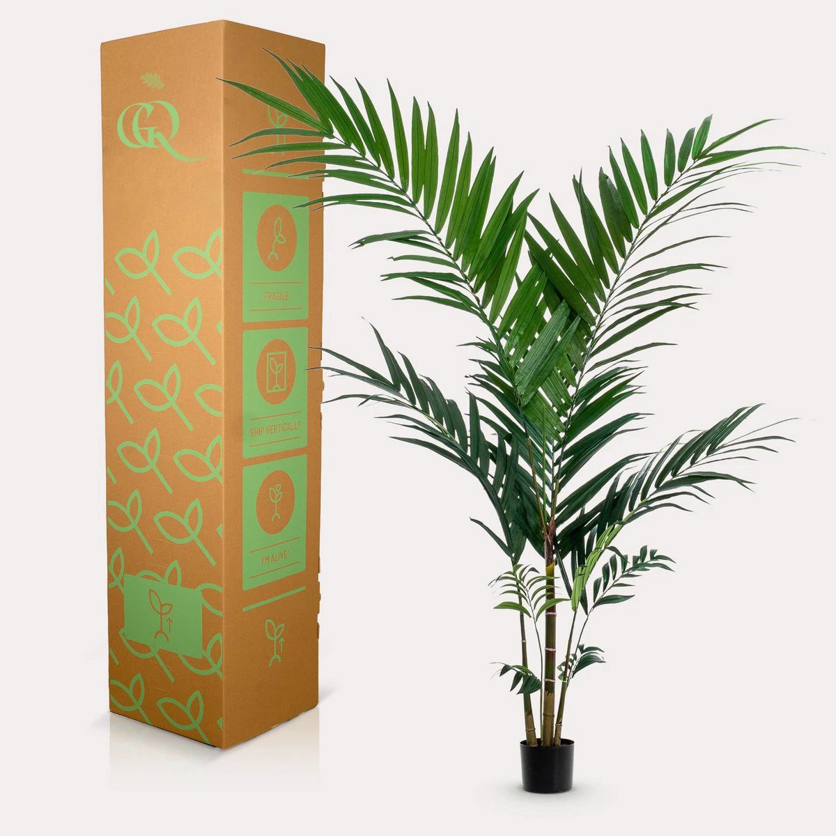 Art plant - Kentia -Kentiapalm - 150cm by Green boutiQ