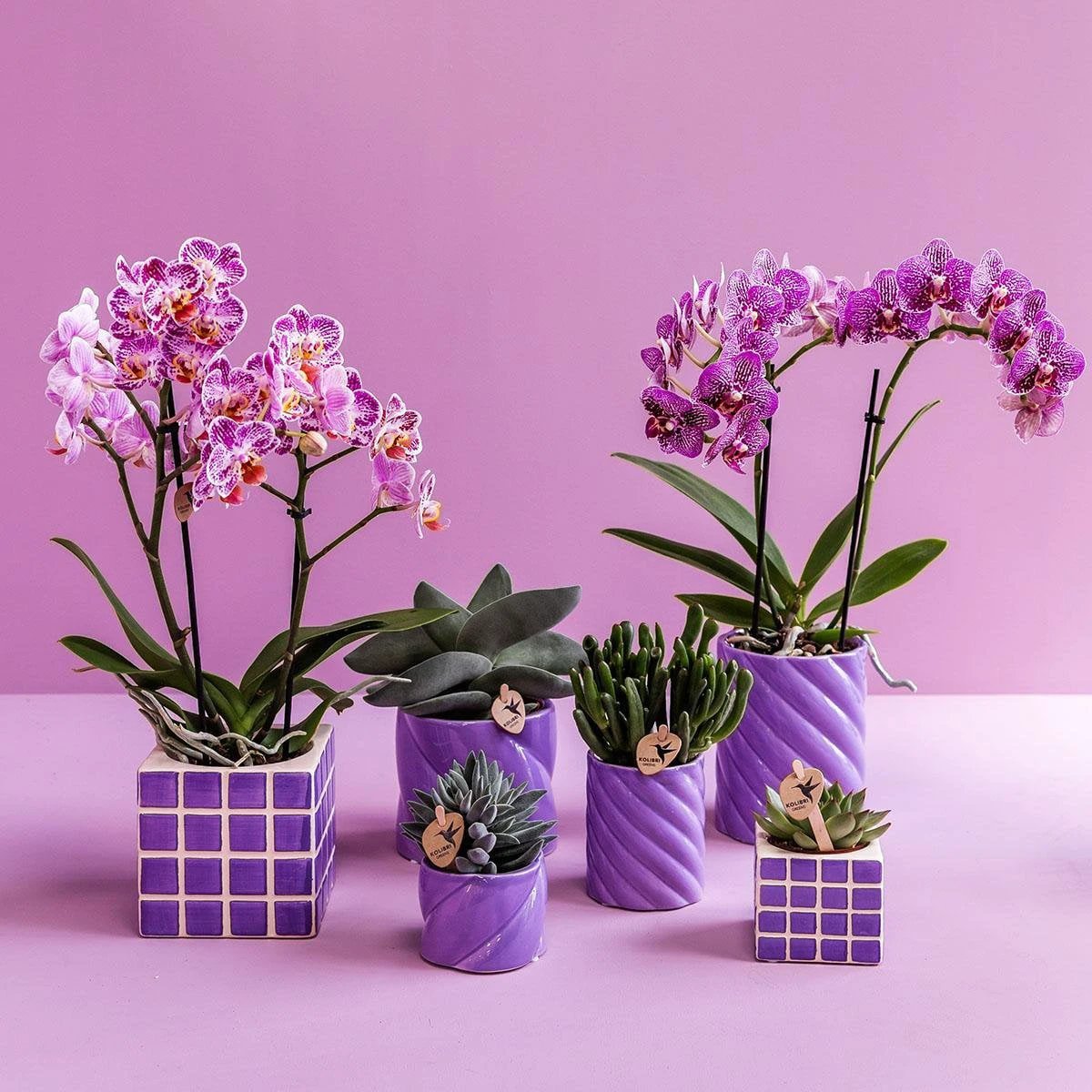 Kolibri Home | Candy sierpot - Lilac - Ø9cm by Kolibri Company