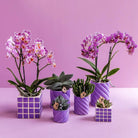 Kolibri Home | Candy sierpot - Lilac - Ø9cm by Kolibri Company