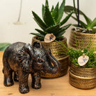 Kolibri Home | Groove Flowerpot - Golden Ceramic Sierpot - Pot size - Ø12cm by Kolibri Company
